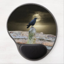 Black Crow on Driftwood By Moonlight
