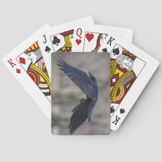 Black Crow Playing Cards