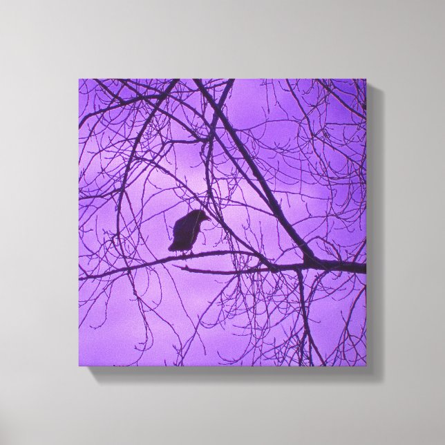 Black Crow Purple Sky Trees Photograph Canvas Print (Front)