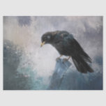 Black Crow Tissue Paper