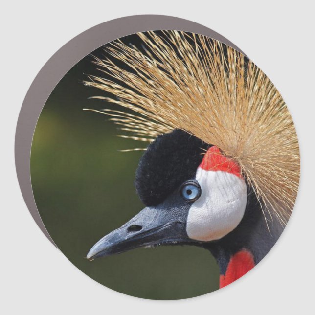 Black crowned crane car magnet (Front)