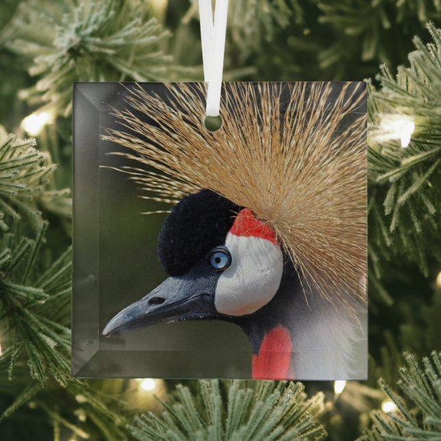 Black crowned crane glass ornament (Insitu)