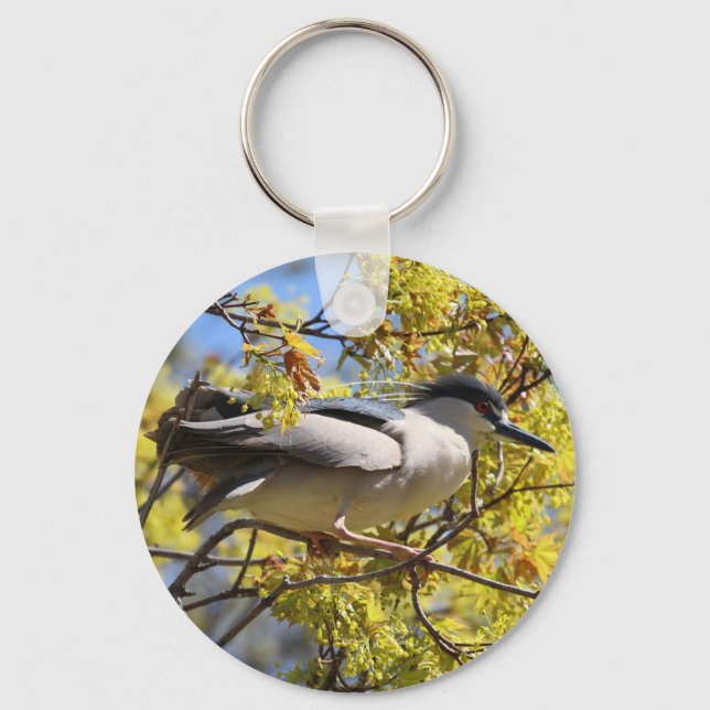 Black crowned Night Heron keychain (Front)