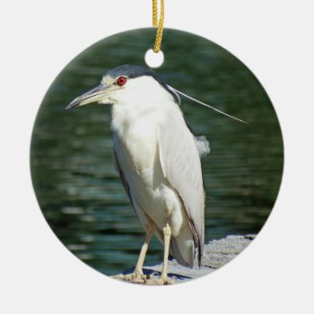 Black Crowned Night Heron Looking For A Meal Ceramic Ornament by WackemArt at Zazzle