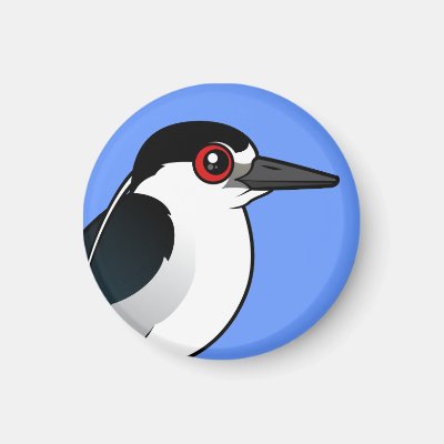 Black-crowned Night Heron Magnet