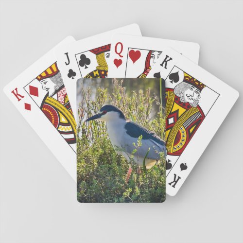 Black_crowned Night Heron Playing Cards