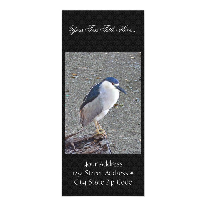 Black crowned night heron rack card design