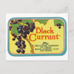 Black Currant Juice Dark Berries Vintage Label Art Postcard