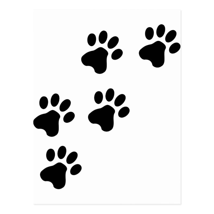 black cute dog paws doggy postcards