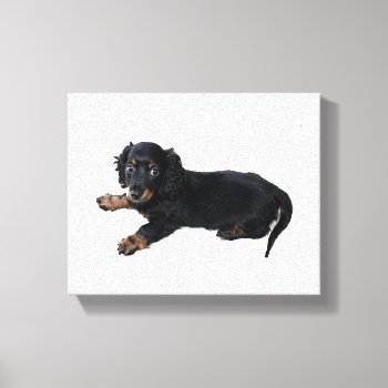 Black Dachshund Cocker Spaniel Puppy Photograph Canvas Print by CorgisandThings at Zazzle