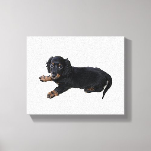 Black Dachshund Cocker Spaniel Puppy Photograph Canvas Print