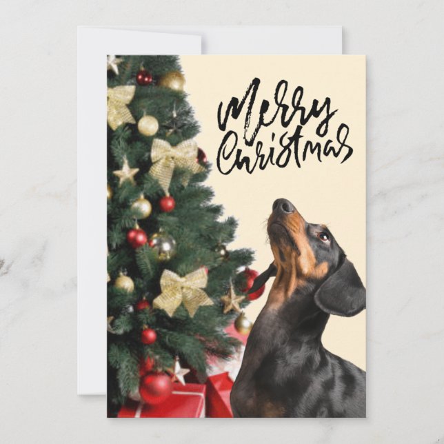 Black Dachshund Looking Up Christmas Tree Xmas  Holiday Card (Front)