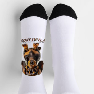 black dachshund tan badger hound dog background socks