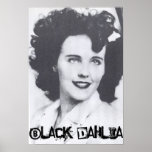 Black Dahlia Poster