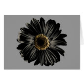 Black Daisy (Front Horizontal)
