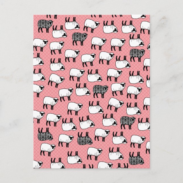 Black Damask Sheep Postcard (Front)