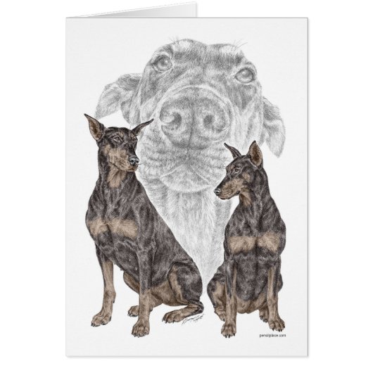 Black Doberman Dogs (Front)