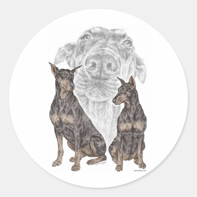 Black Doberman Dogs Classic Round Sticker (Front)
