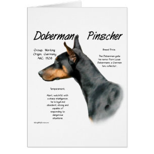 Black Doberman Pinscher History Cards
