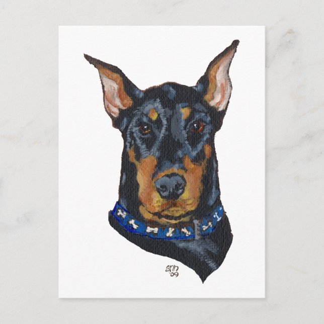 Black Doberman Pinscher Postcard (Front)
