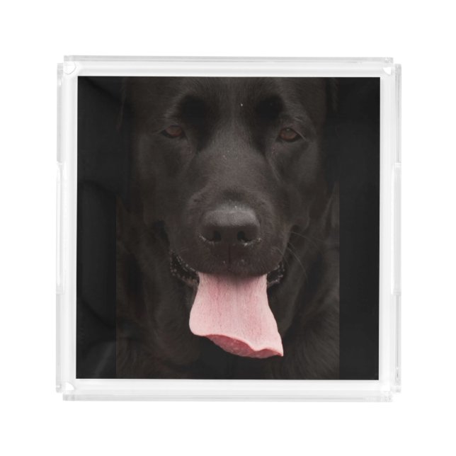 Black dog acrylic tray (Front)