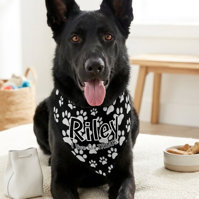 Black Dog Bandana – Cute Pet Owner Gift Collar (Personalized funny dog collar bandana)