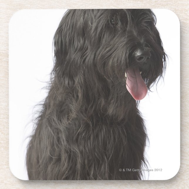 Black dog, Briard Drink Coaster (Front)