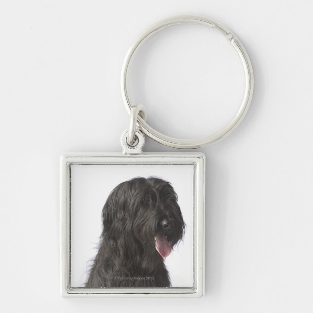 Black dog, Briard Keychain (Front)