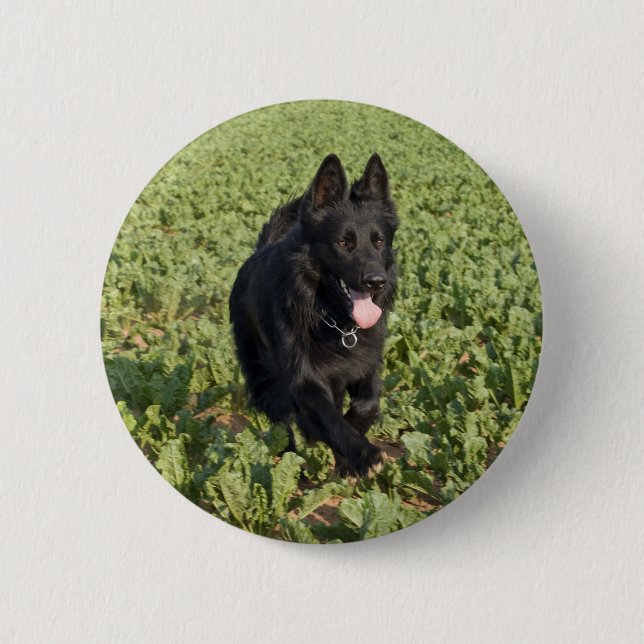 Black Dog Button (Front)