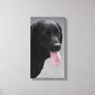 Black dog canvas print