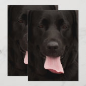 Black dog face (Front/Back)