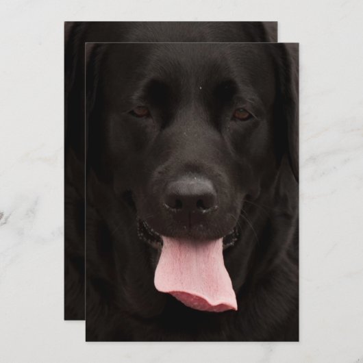 Black dog face (Front/Back)