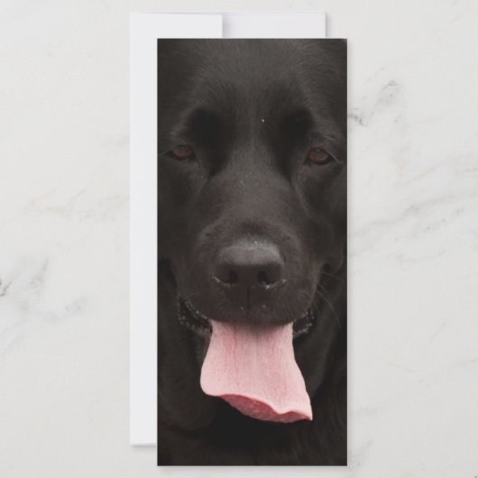 Black dog face (Back)