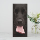 Black dog face (Standing Front)