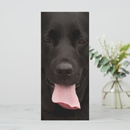 Black dog face (Standing Front)