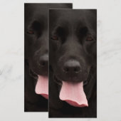 Black dog face (Front/Back)