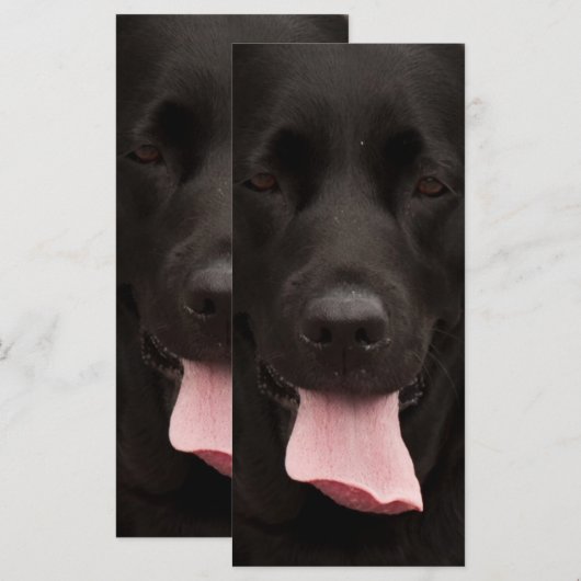 Black dog face (Front/Back)