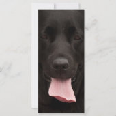 Black dog face (Front)