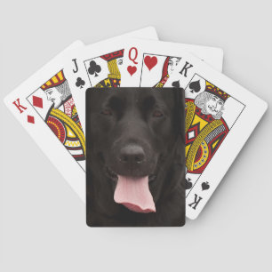 Black dog face poker cards