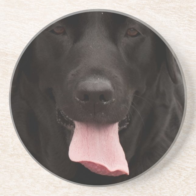 Black dog face sandstone coaster (Front)