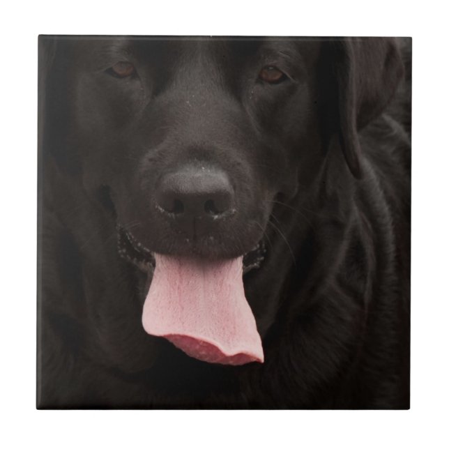 Black dog face tile (Front)