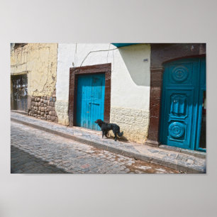 Black Dog in Cusco, Peru Poster