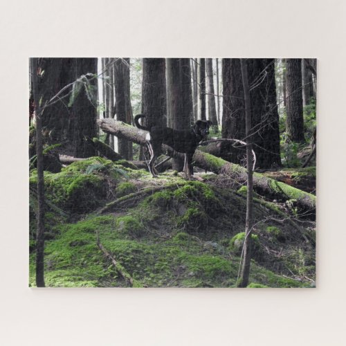 Black Dog Lab Shepherd Forest Woods Picture Photo Jigsaw Puzzle