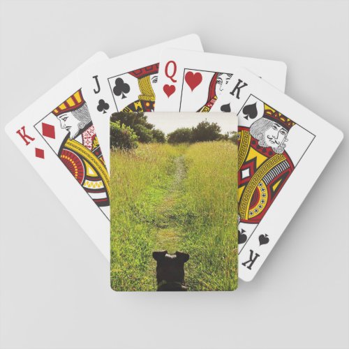 Black Dog Leads Way Along Green Hiking Trail Playing Cards