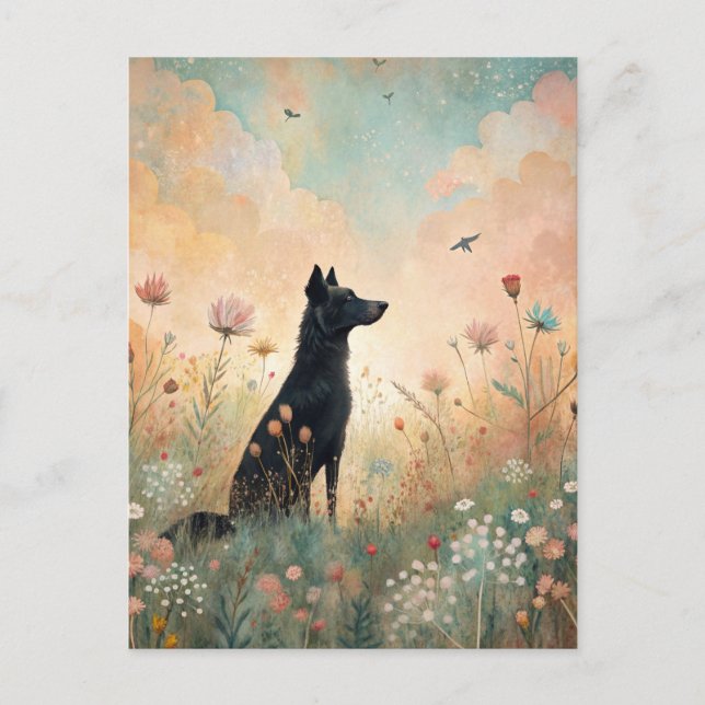 Black Dog Meadow Wildflowers  Postcard (Front)