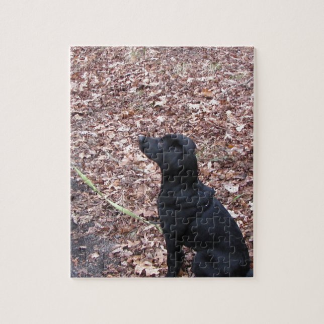 Black Dog Photo Jigsaw Puzzle (Vertical)