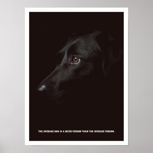 Black dog Poster (Front)