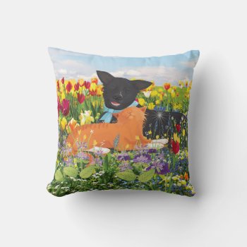 Black Dog  Red Cat  Throw Pillow by TheWhiteCatCo at Zazzle