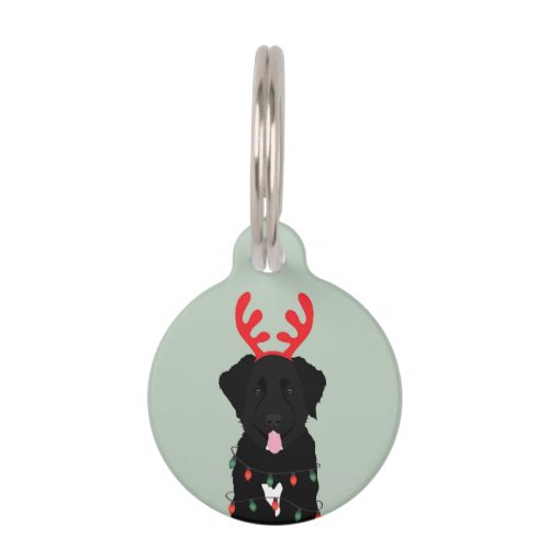 Black Dog Reindeer Christmas Lights Pet ID Tag