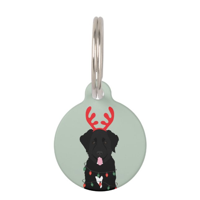Black Dog Reindeer Christmas Lights Pet ID Tag (Front)
